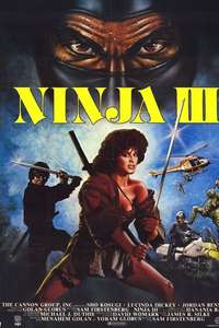Ninja III: The Domination - Poster