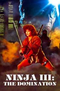 Ninja III: The Domination - Poster
