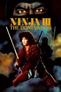 Ninja III: The Domination - Poster