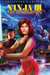 Ninja III: The Domination - Poster