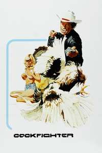Cockfighter - Poster