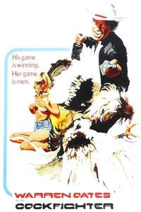 Cockfighter - Poster