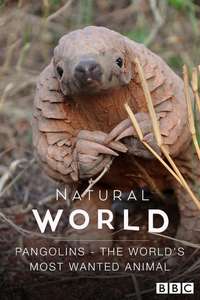 The World's Most Wanted Animal - Poster