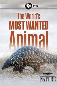 The World's Most Wanted Animal - Poster