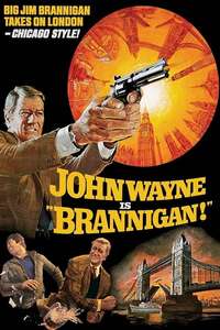 Brannigan - Poster