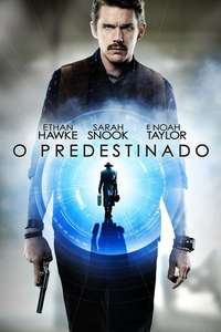 Predestination - Poster
