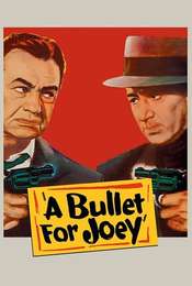 A Bullet for Joey