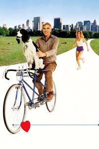 The Lonely Guy - Poster