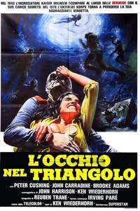Shock Waves - Poster