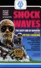 Shock Waves