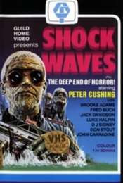 Shock Waves