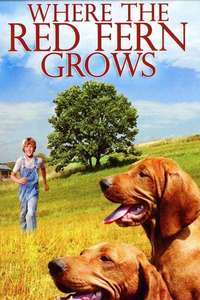 Where the Red Fern Grows - Posters