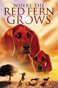 Where the Red Fern Grows - Posters