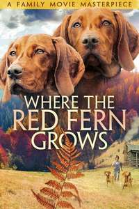 Where the Red Fern Grows - Posters