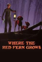 Where the Red Fern Grows