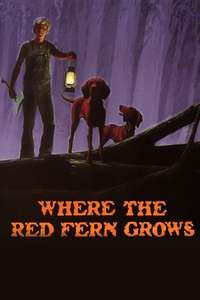 Where the Red Fern Grows - Posters