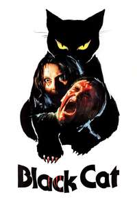 The Black Cat - Poster