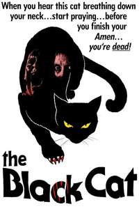 The Black Cat - Poster