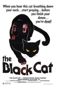 The Black Cat - Poster