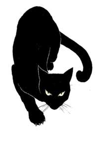 The Black Cat - Poster