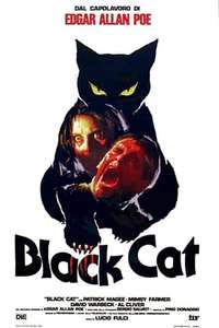 The Black Cat - Poster