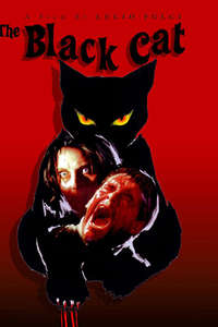 The Black Cat - Poster