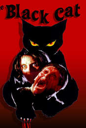 The Black Cat