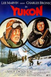 Death Hunt - Poster