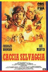Death Hunt - Poster