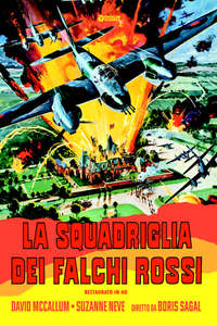 Mosquito Squadron - Poster