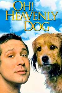 Oh Heavenly Dog - Poster