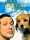 Oh Heavenly Dog