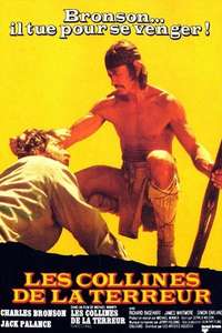 Chato's Land - Poster