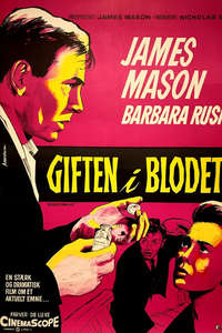Bigger Than Life - Poster