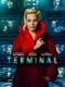 Terminal