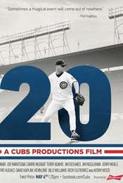 20