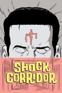 Shock Corridor - Poster