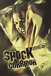 Shock Corridor