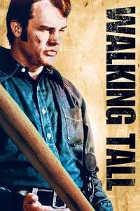 Walking Tall - Poster