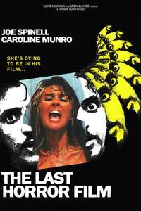 The Last Horror Film - Poster