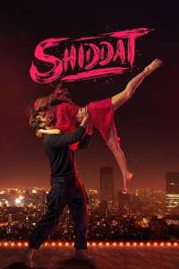 Shiddat - Posters
