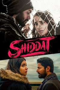 Shiddat - Posters