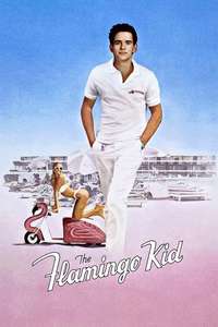 The Flamingo Kid - Poster