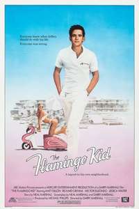 The Flamingo Kid - Poster