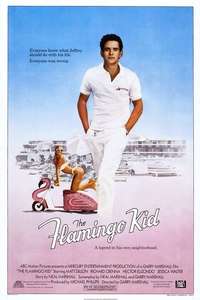 The Flamingo Kid - Poster