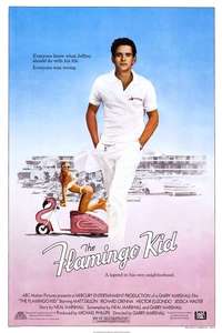 The Flamingo Kid - Poster