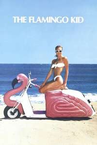 The Flamingo Kid - Poster