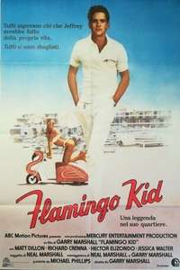 The Flamingo Kid - Poster