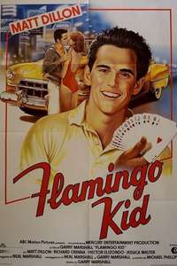 The Flamingo Kid - Poster