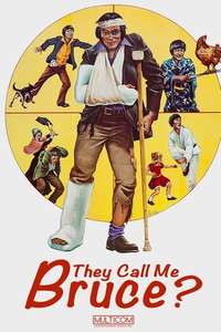 They Call Me Bruce? - Poster